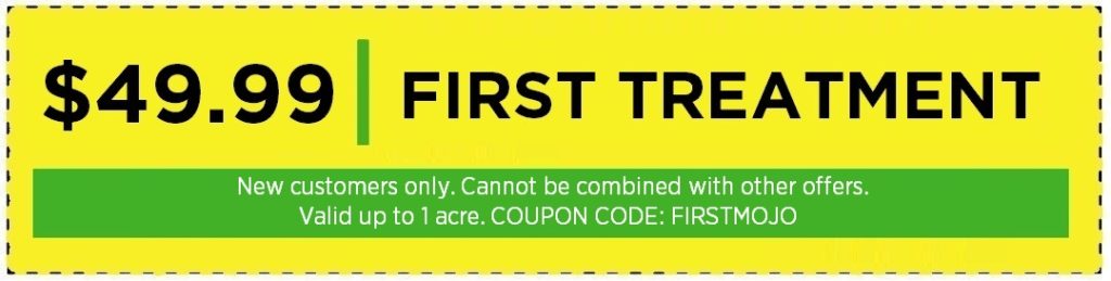 mosquito-joe-first-treatment-coupon