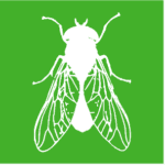 green fly icon